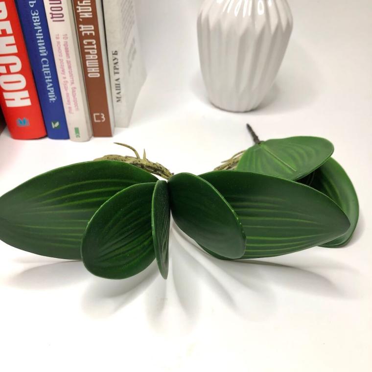 Загружен программно: 1692821576681210.jpg