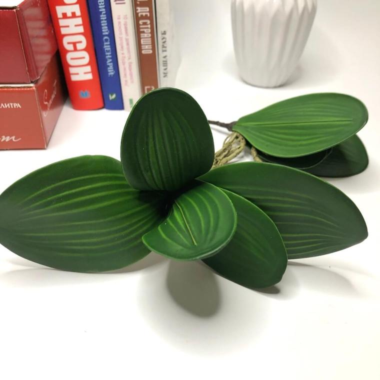 Загружен программно: 169282157763348.jpg