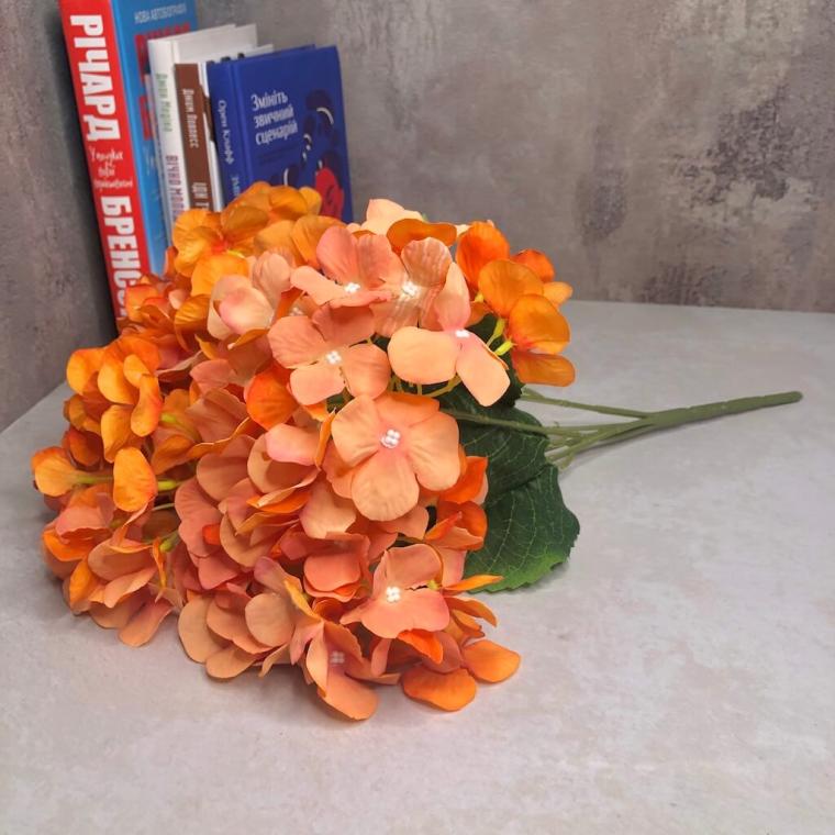 Загружен программно: 1693940855466649.jpg