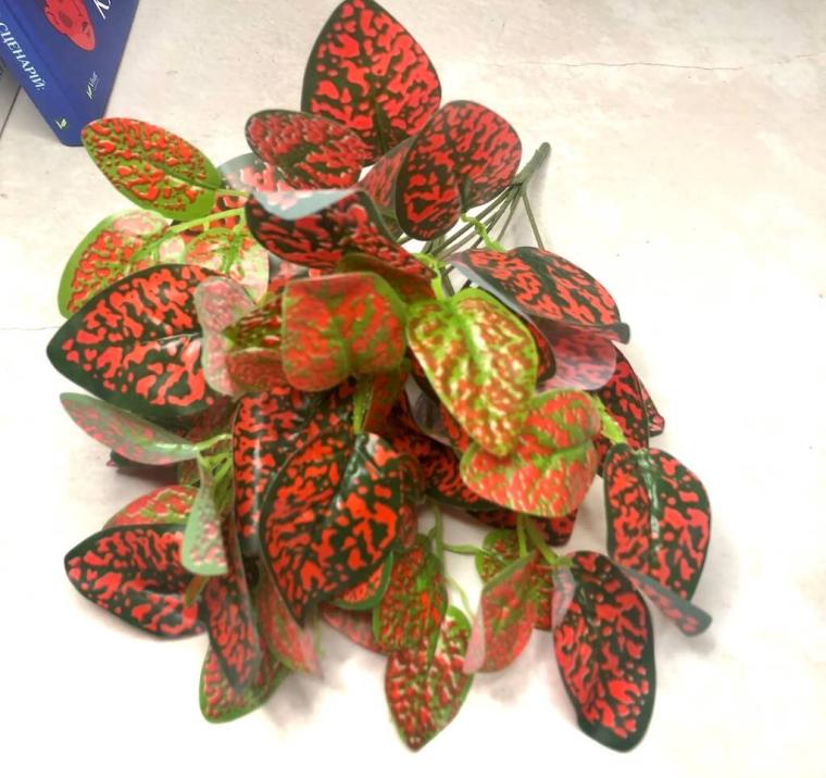 Загружен программно: 1694374095369714.jpg