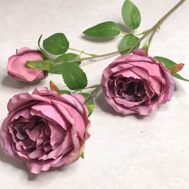 Загружен программно: 1694720835138080.jpg