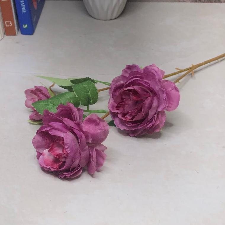 Загружен программно: 1695062661158142.jpg