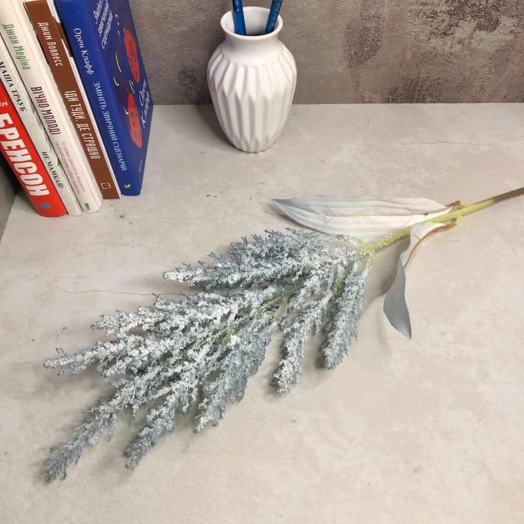 Загружен программно: 1695148045914731.jpg