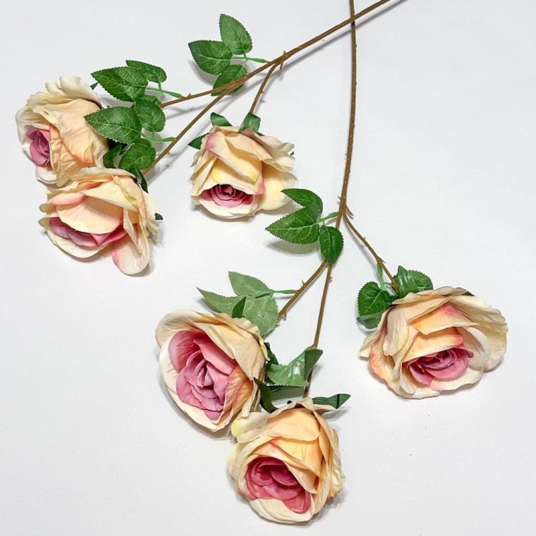 Загружен программно: 1705307411129328.jpg