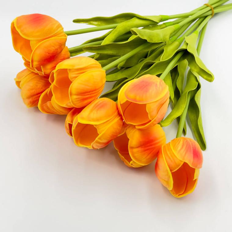 Загружен программно: 1709706687149441.jpg