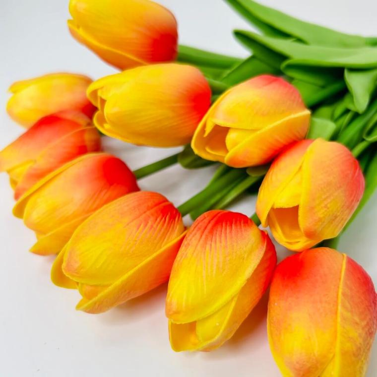 Загружен программно: 1712746417661694_0.jpg