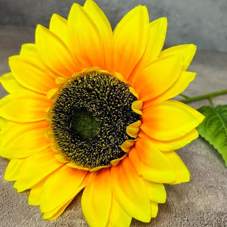 Загружен программно: 1712918101254534_0.jpg