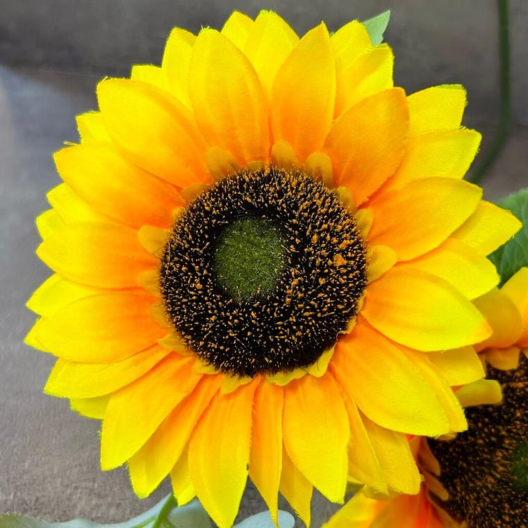 Загружен программно: 1712918108273131_0.jpg