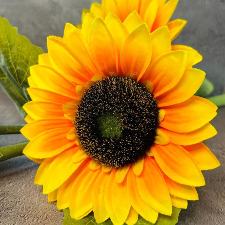 Загружен программно: 1712918109435380_0.jpg