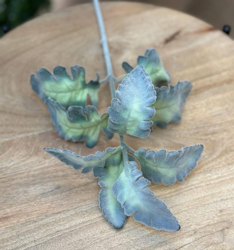 Загружен программно: 1719170058684501.jpg