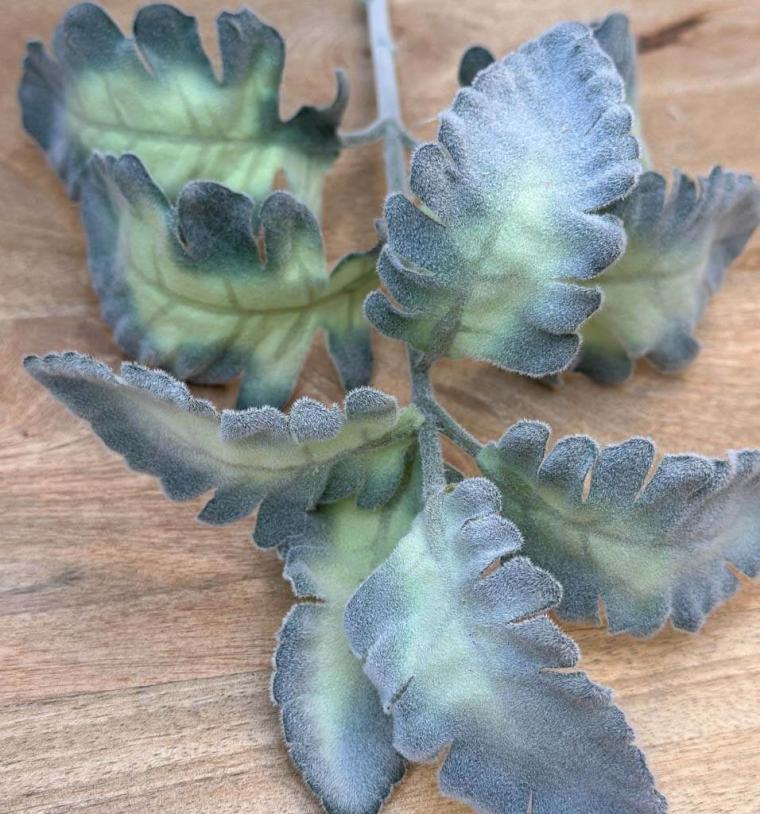 Загружен программно: 1719170059134325.jpg