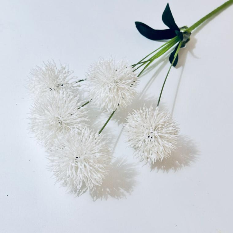 Загружен программно: 1719338461806046.jpg