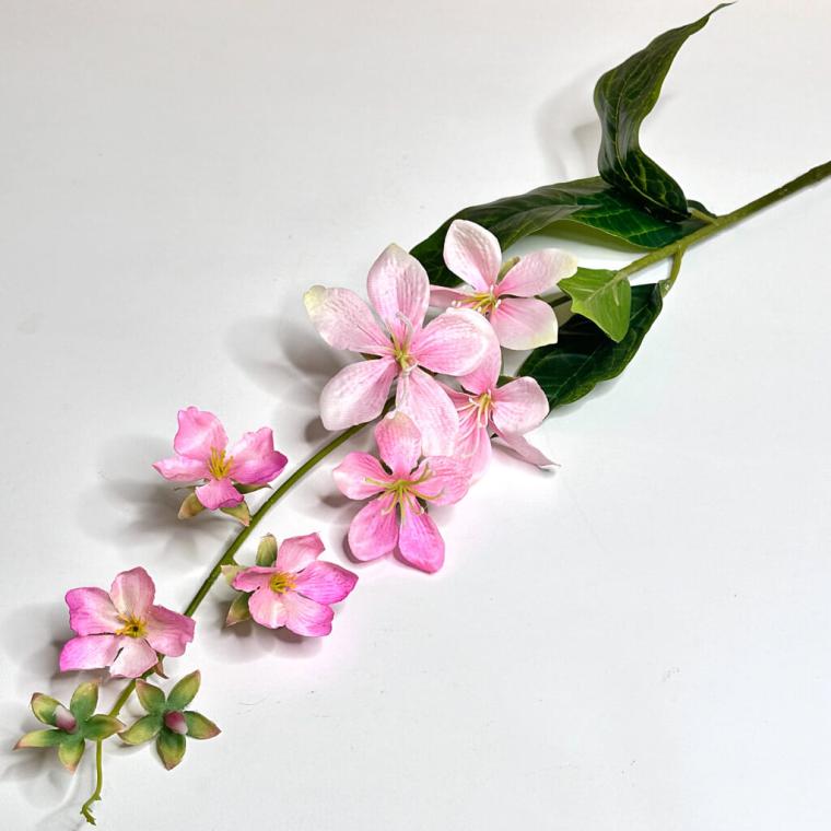 Загружен программно: 1719508423184586.jpg