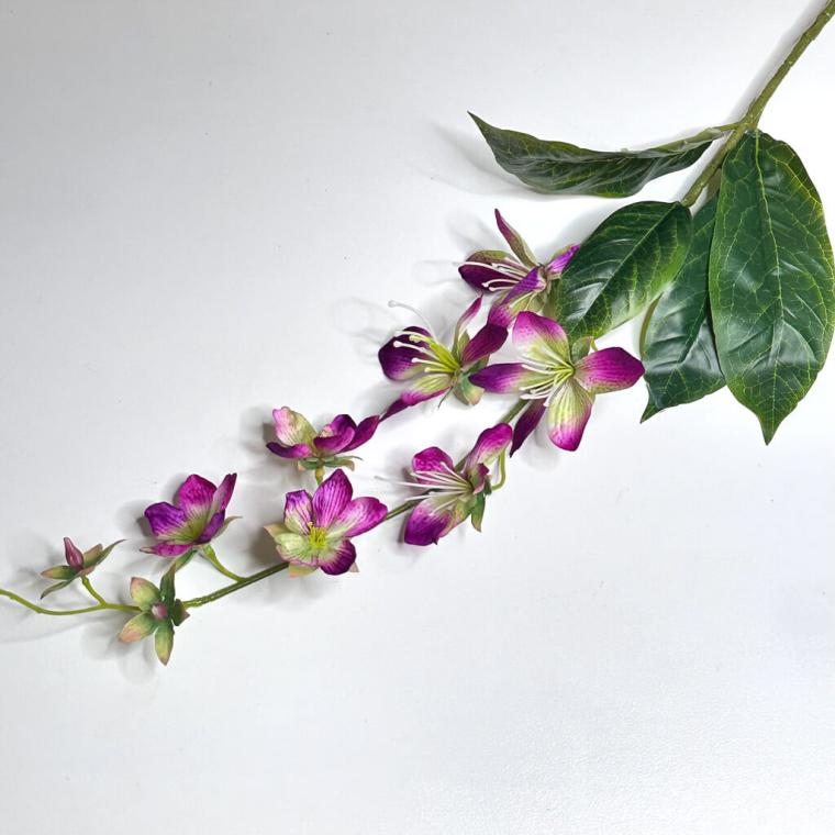 Загружен программно: 1719508423984538.jpg