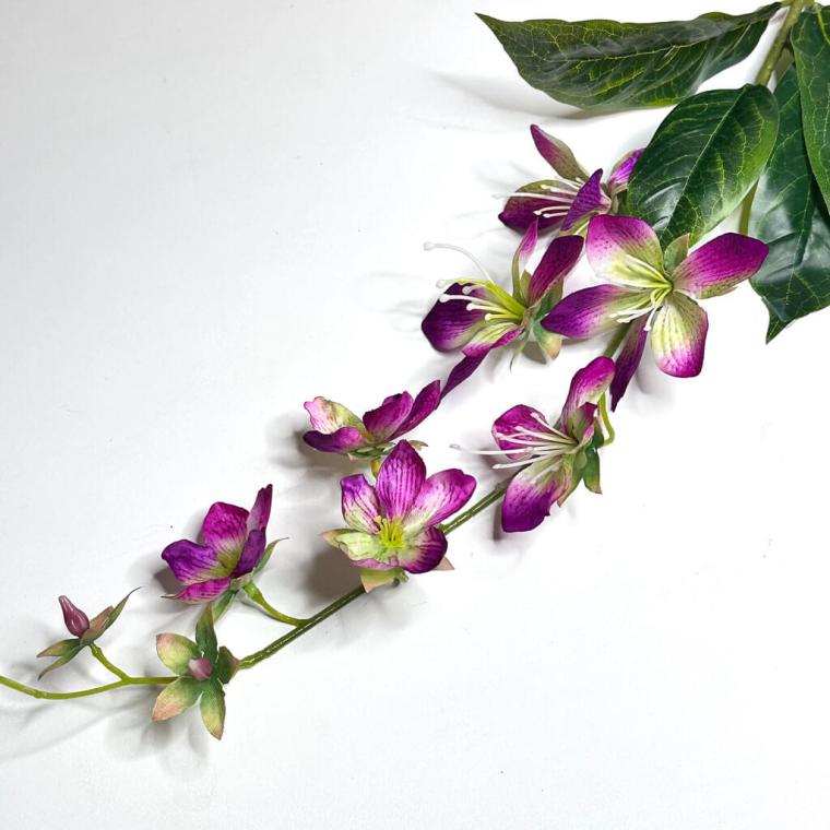 Загружен программно: 1719508424384563.jpg