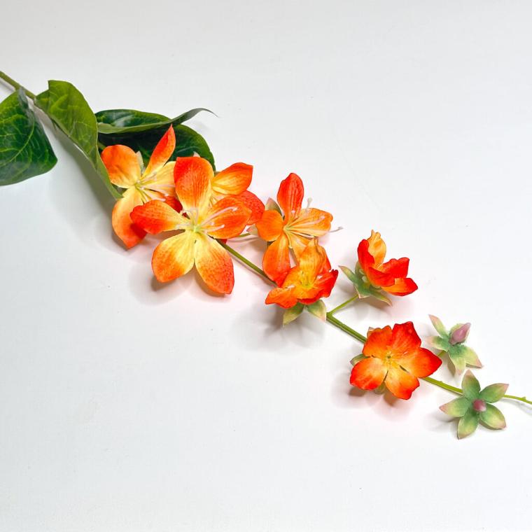 Загружен программно: 1719508424951967.jpg