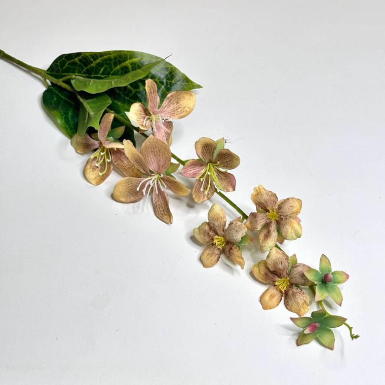 Загружен программно: 1719508426602960.jpg