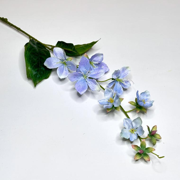 Загружен программно: 1719508427304523.jpg