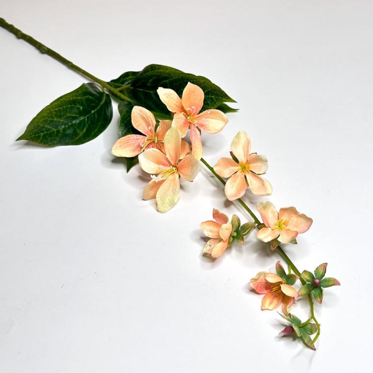 Загружен программно: 1719508455397740.jpg