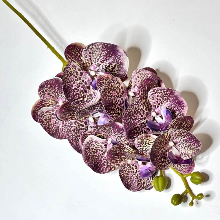 Загружен программно: 1719510408769040.jpg