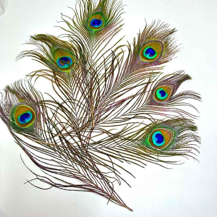 Загружен программно: 1739096610905231.jpg