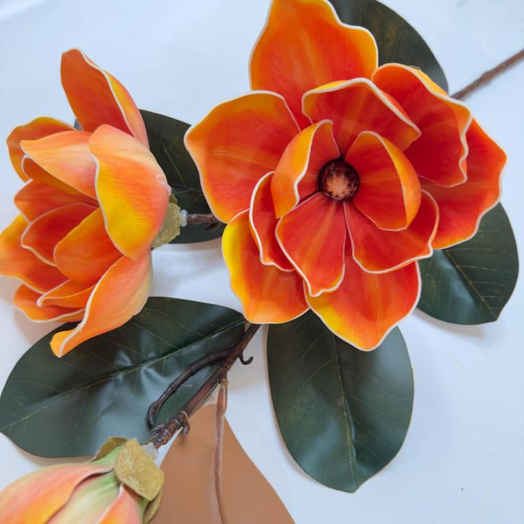 Загружен программно: 1739115878521245.jpg