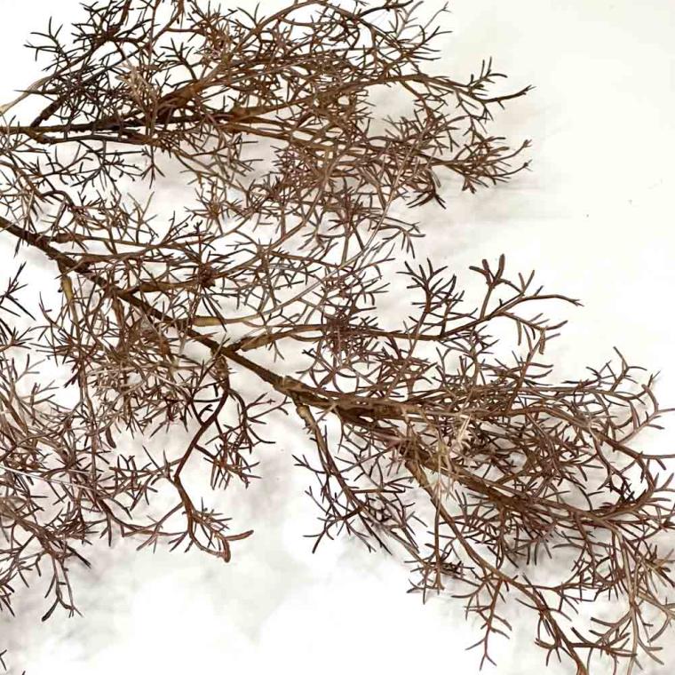 Загружен программно: 1739262562366615.jpg