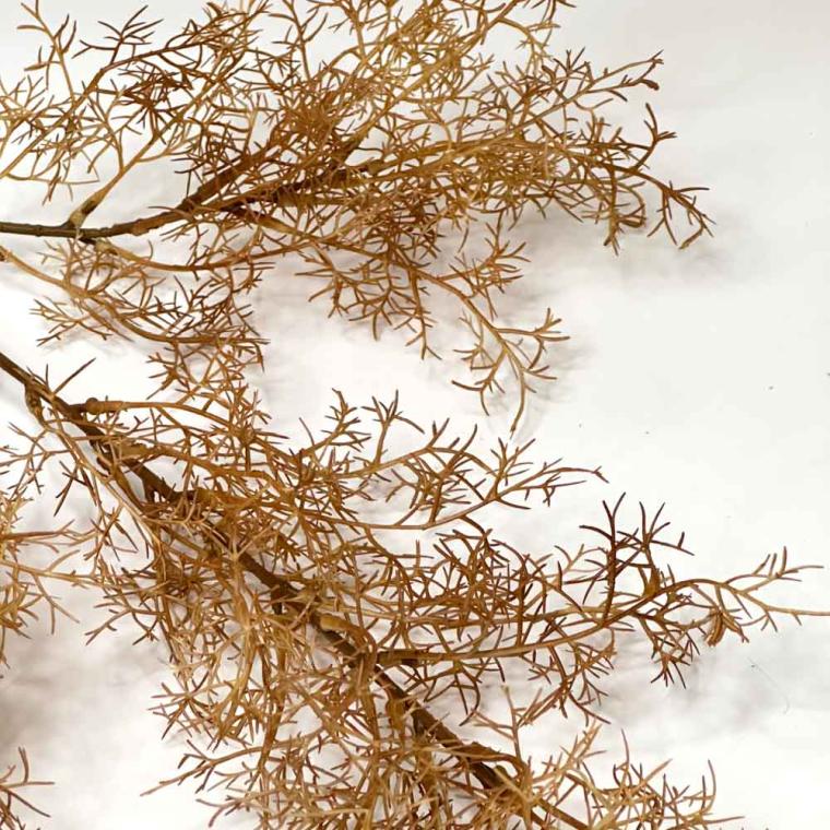 Загружен программно: 1739262564386528.jpg