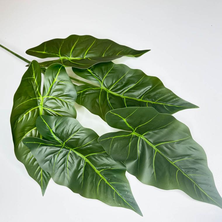 Загружен программно: 1747298018416249.jpg