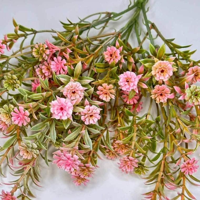 Загружен программно: 1747634831265128.jpg