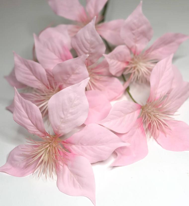 Загружен программно: 174768218529922.jpg