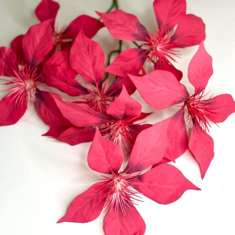 Загружен программно: 1747682185528284.jpg