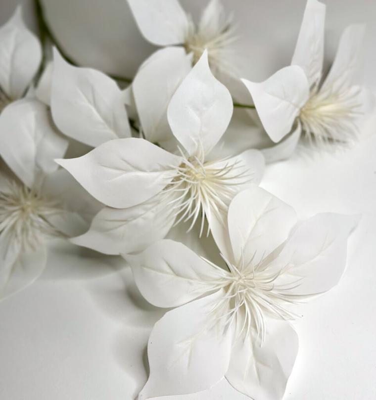 Загружен программно: 1747682186562666.jpg