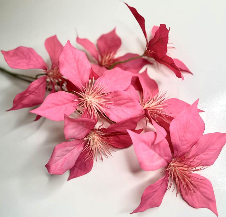 Загружен программно: 1747682222898826.jpg