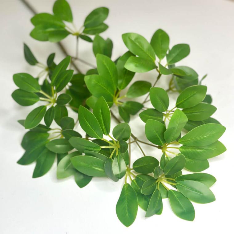 Загружен программно: 1747990233507820.jpg