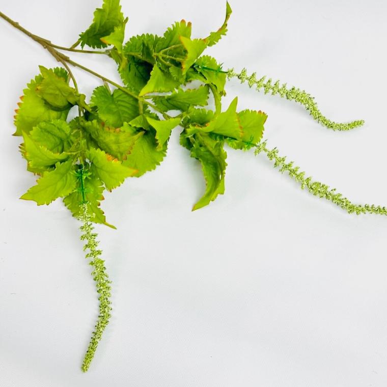 Загружен программно: 1750604631968057.jpg