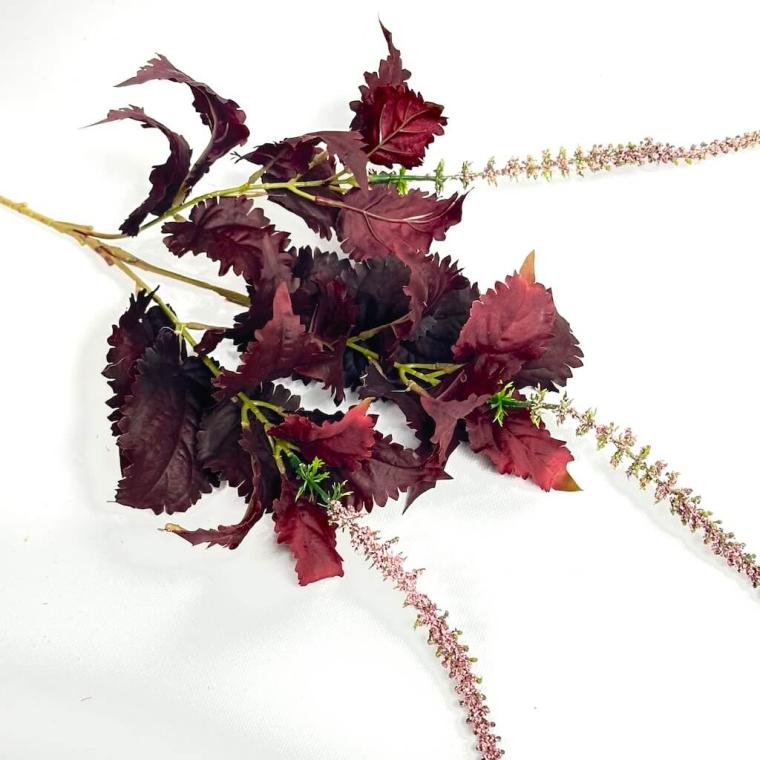 Загружен программно: 1750604638595093.jpg