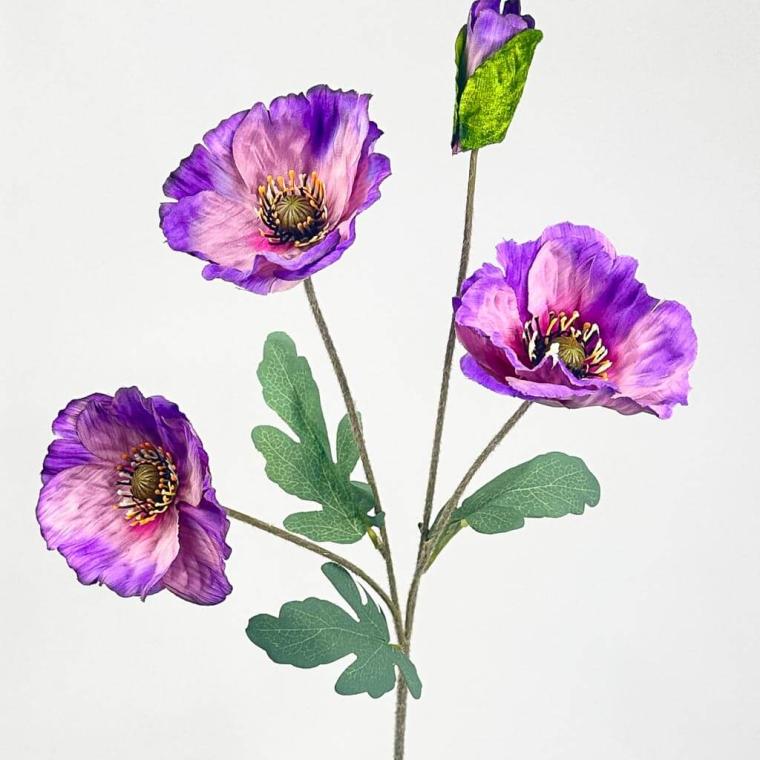 Загружен программно: 1753723285247922.jpg