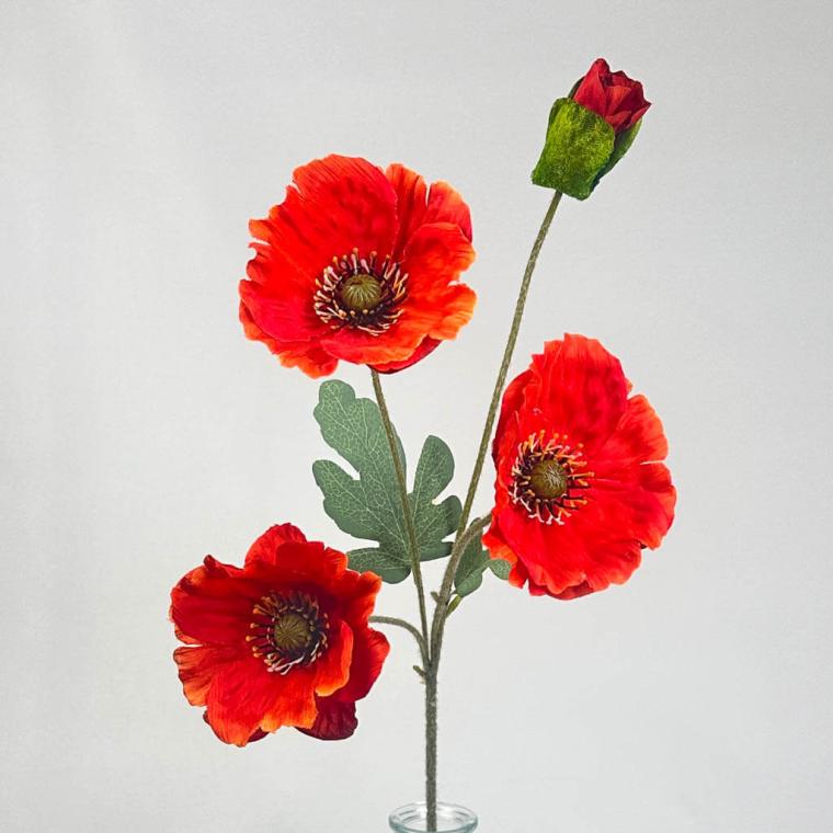 Загружен программно: 1753723286432157.jpg