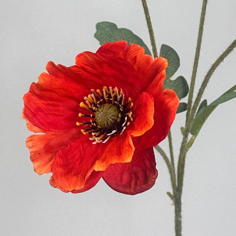 Загружен программно: 1753723287516345.jpg