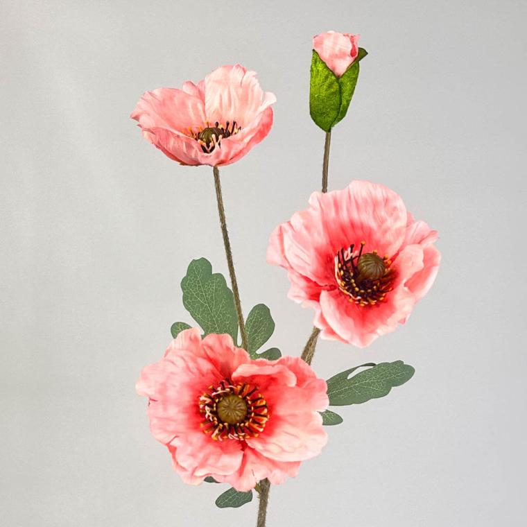 Загружен программно: 1753723288915771.jpg