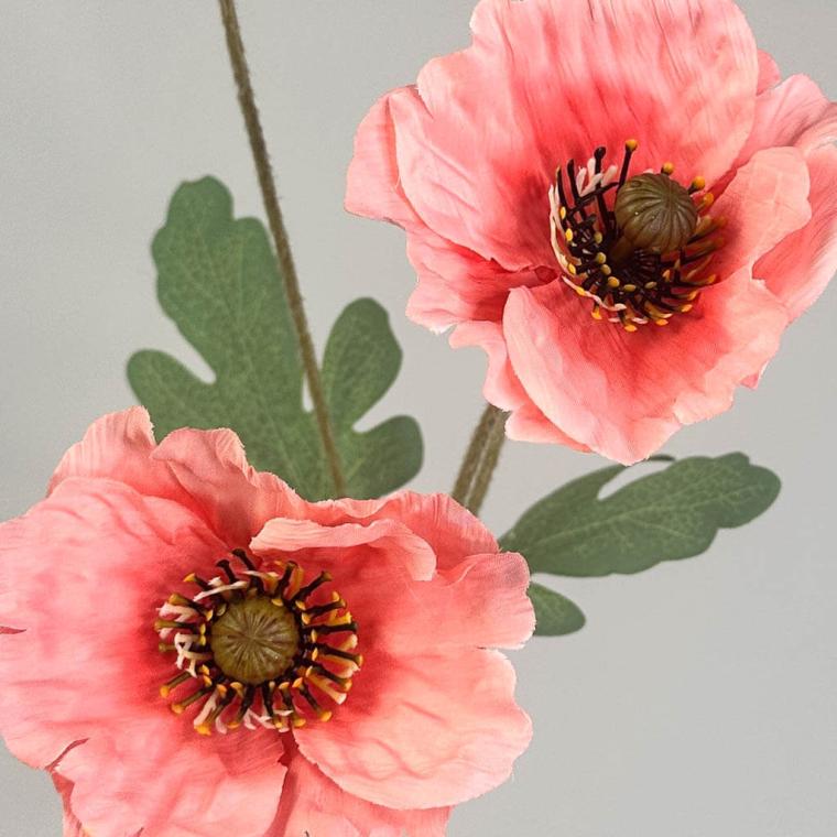 Загружен программно: 1753723289834063.jpg