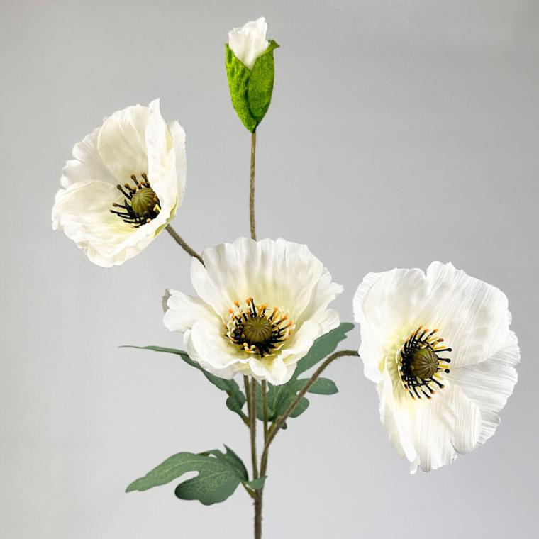 Загружен программно: 1753723292136605.jpg