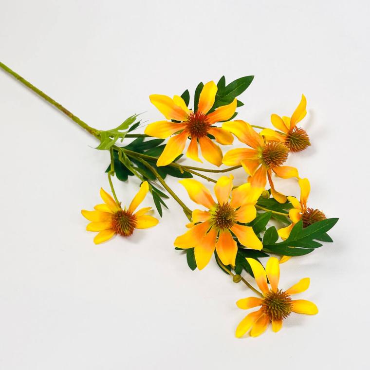 Загружен программно: 1753729490298740.jpg