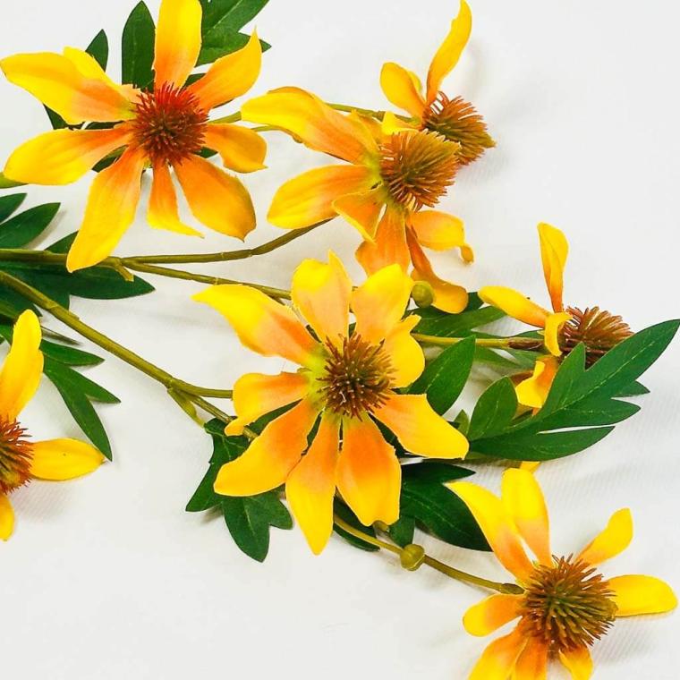 Загружен программно: 1753729490849979.jpg