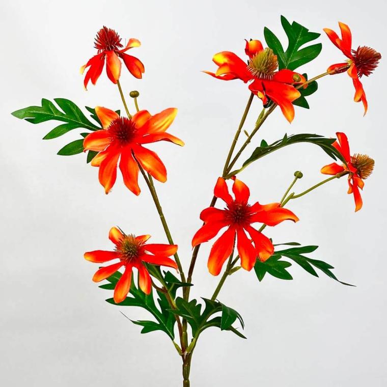 Загружен программно: 1753729492666762.jpg