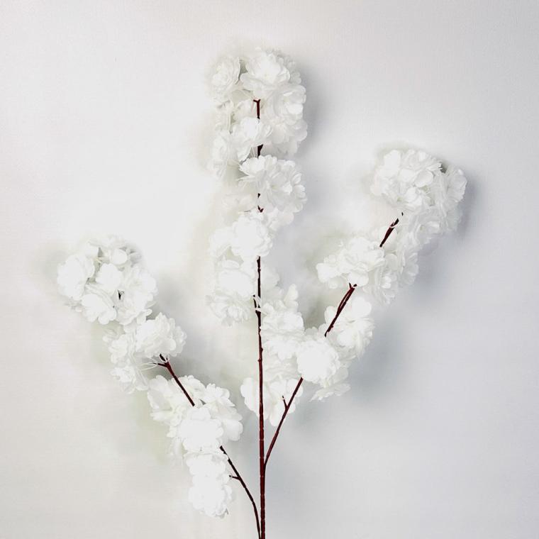 Загружен программно: 1753729581670024.jpg