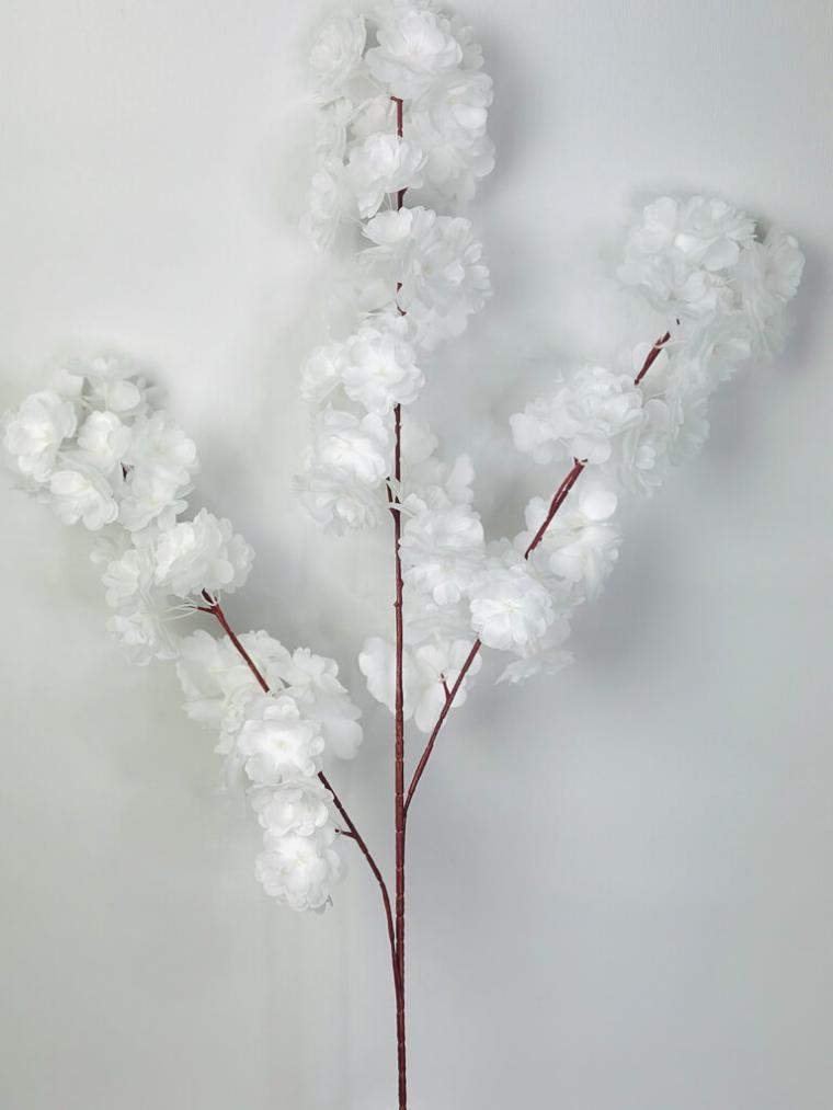 Загружен программно: 1753729581954544.jpg