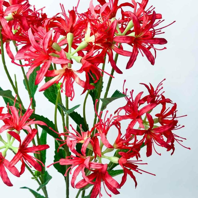 Загружен программно: 1753789319337112.jpg