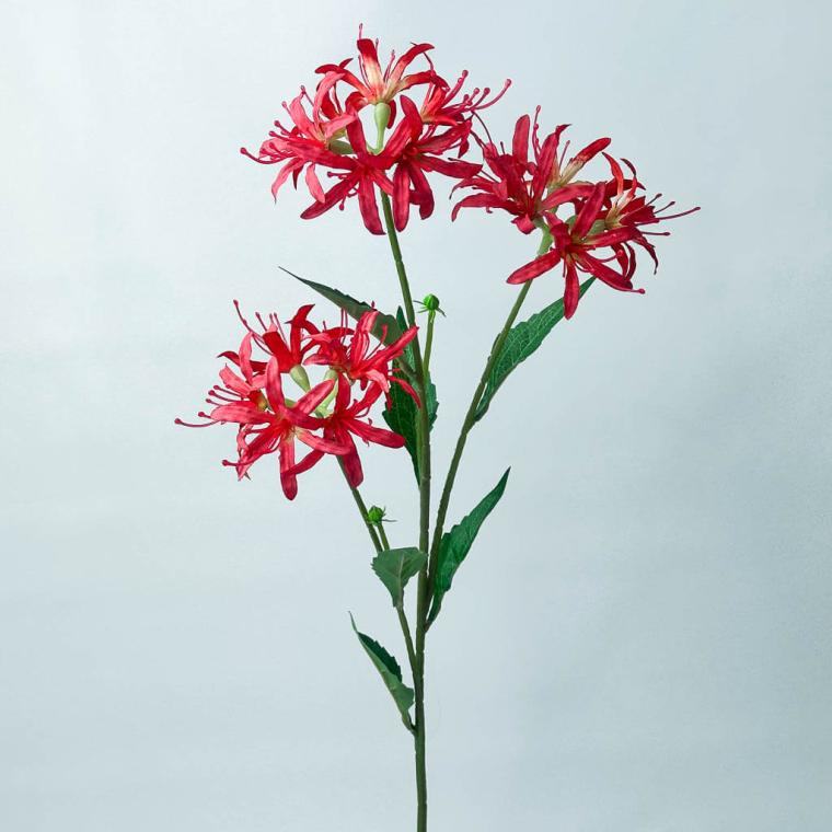 Загружен программно: 1753789319942234.jpg